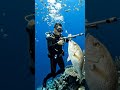 Monster Deep Sea Fishing Catch | Ocean Adventure 🌊 #Shorts#fishing #youtubeshorts
