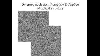 PJ Treffner - Occlusion demos: Accretion and deletion