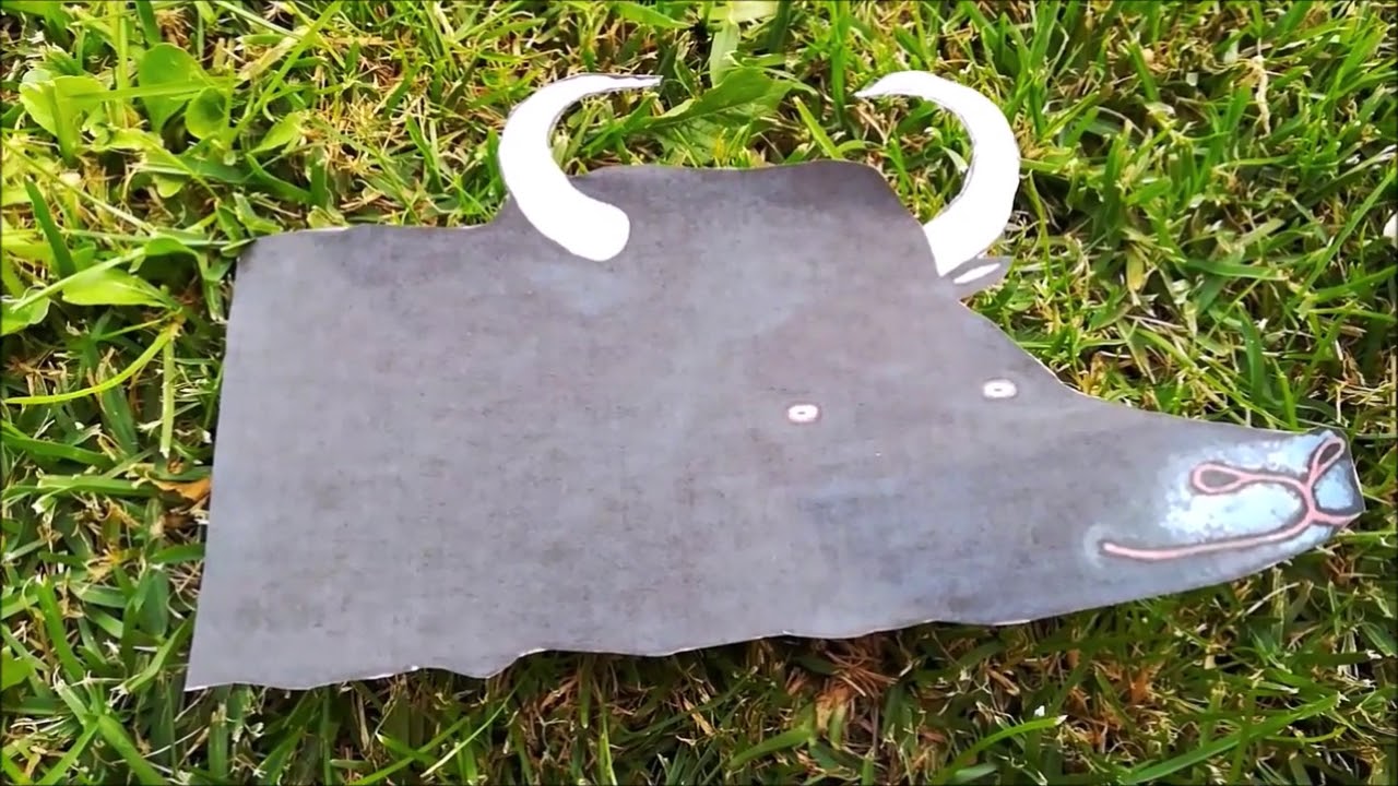 Conto Coelliño branco. Escola infantil Cerdedo-Cotobade-Tenorio