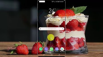 Samsung Galaxy S9 : How to Enable or Disable APP permission monitor (Android Oreo)
