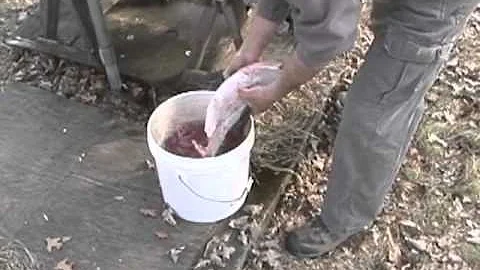 Outdoors Tip of the Week with Jerry Carlson: Prepa...