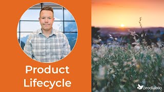 Sunset or Sustain? Navigating the Product Crossroad