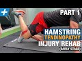 Hamstring tendinopathy injury rehab  part 1 early stage  tim keeley  physio rehab