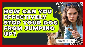 How Can You Effectively Stop Your Dog From Jumping Up? - Obedient Dog Guide