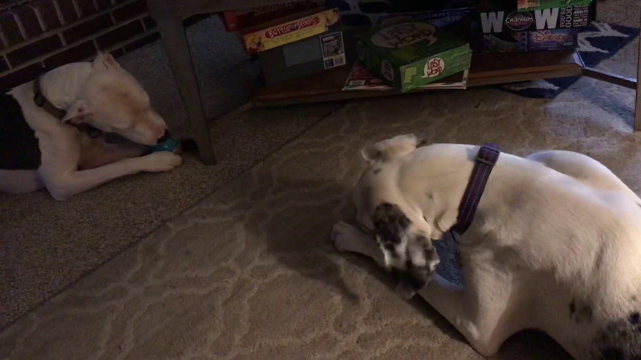 Peanut butter - YouTube