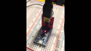 Arduino pro mini blink program