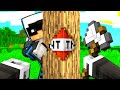 15 SCHERZI DA FARE AI TUOI AMICI DI MINECRAFT - ITA