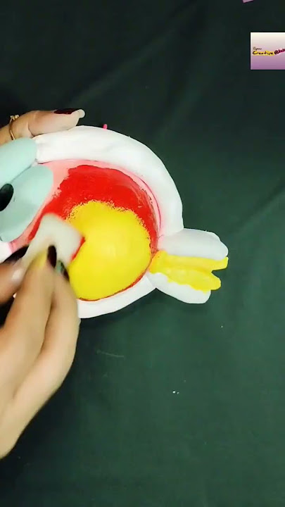 DIY Human Eye 3D Model Using Clay #shorts