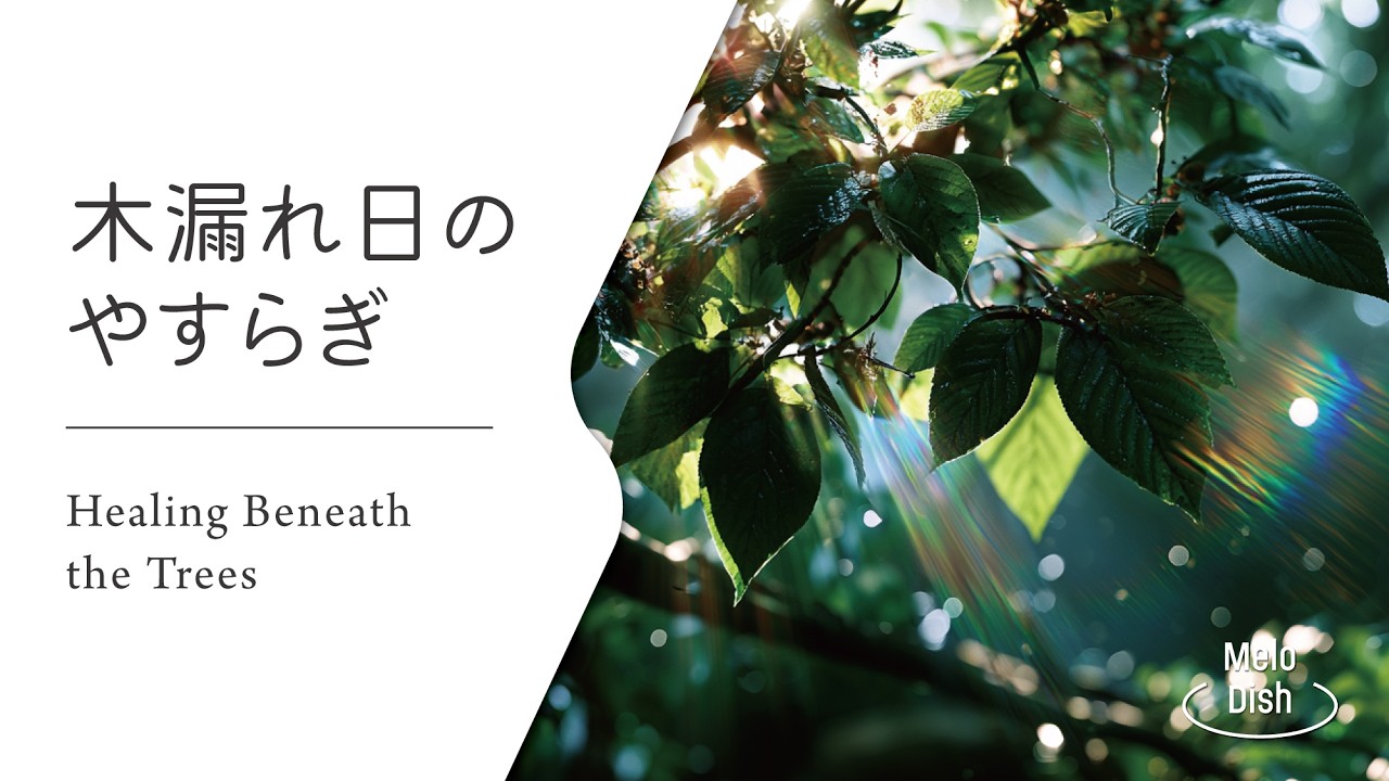 【木漏れ日アコースティック】静かに整うヒーリングサウンド │ Calm & Cleansing Acoustic Healing Music
