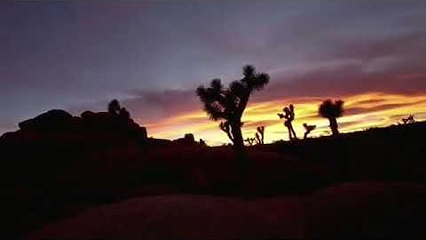 تلاوة خاشعة من سورة الزمر - معاذ العيد(360P)