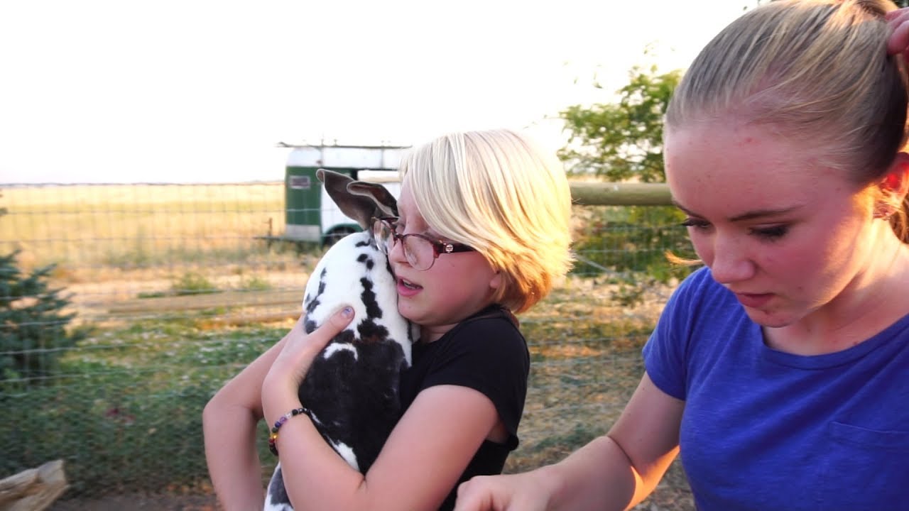 The Down Side To A Rabbit Colony YouTube