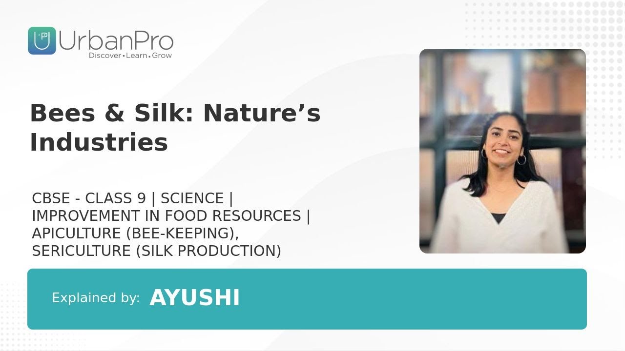 Bees & Silk: Nature’s Industries | Ayushi S.
