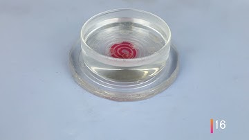 RElectrode: A Reconfigurable Electrode For Multi-Purpose Sensing Based on Microfluidics