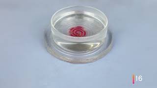 RElectrode: A Reconfigurable Electrode For Multi-Purpose Sensing Based on Microfluidics