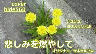 哀しみを燃やして　寺本圭佑　hide560　219　札幌市カラオケ