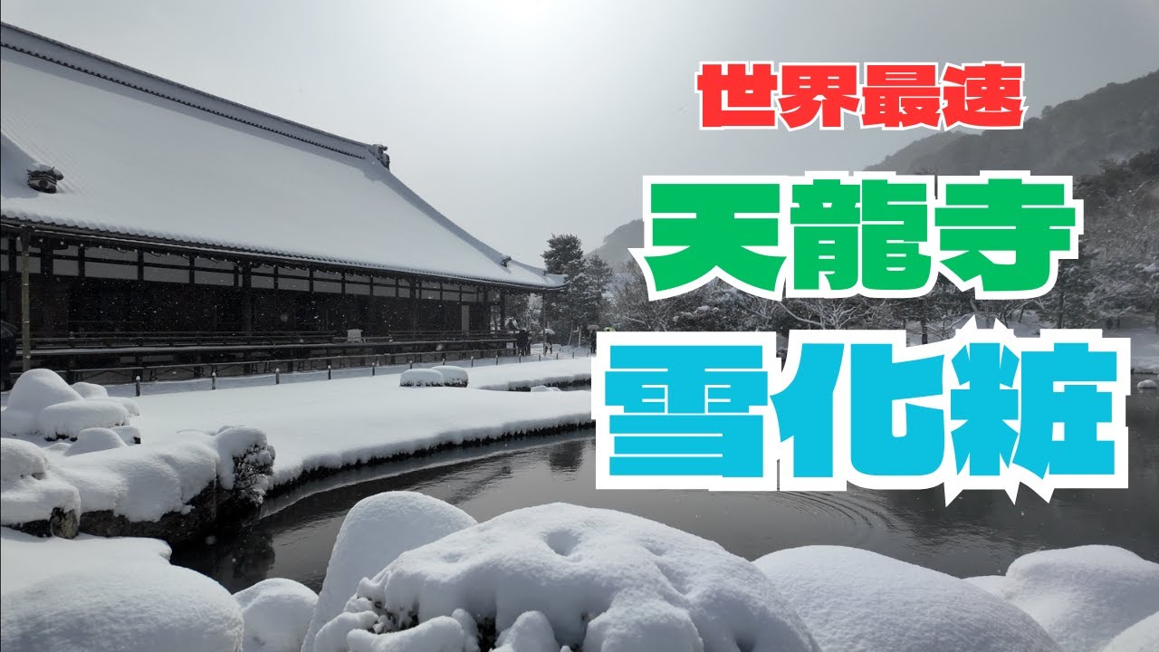 Снежный вид на тенрю-дзи в Киото! Давайте насладимся прудом и садом.