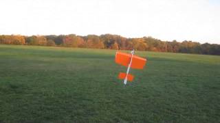 mcddd Wild Tiger & TT 42GP r1