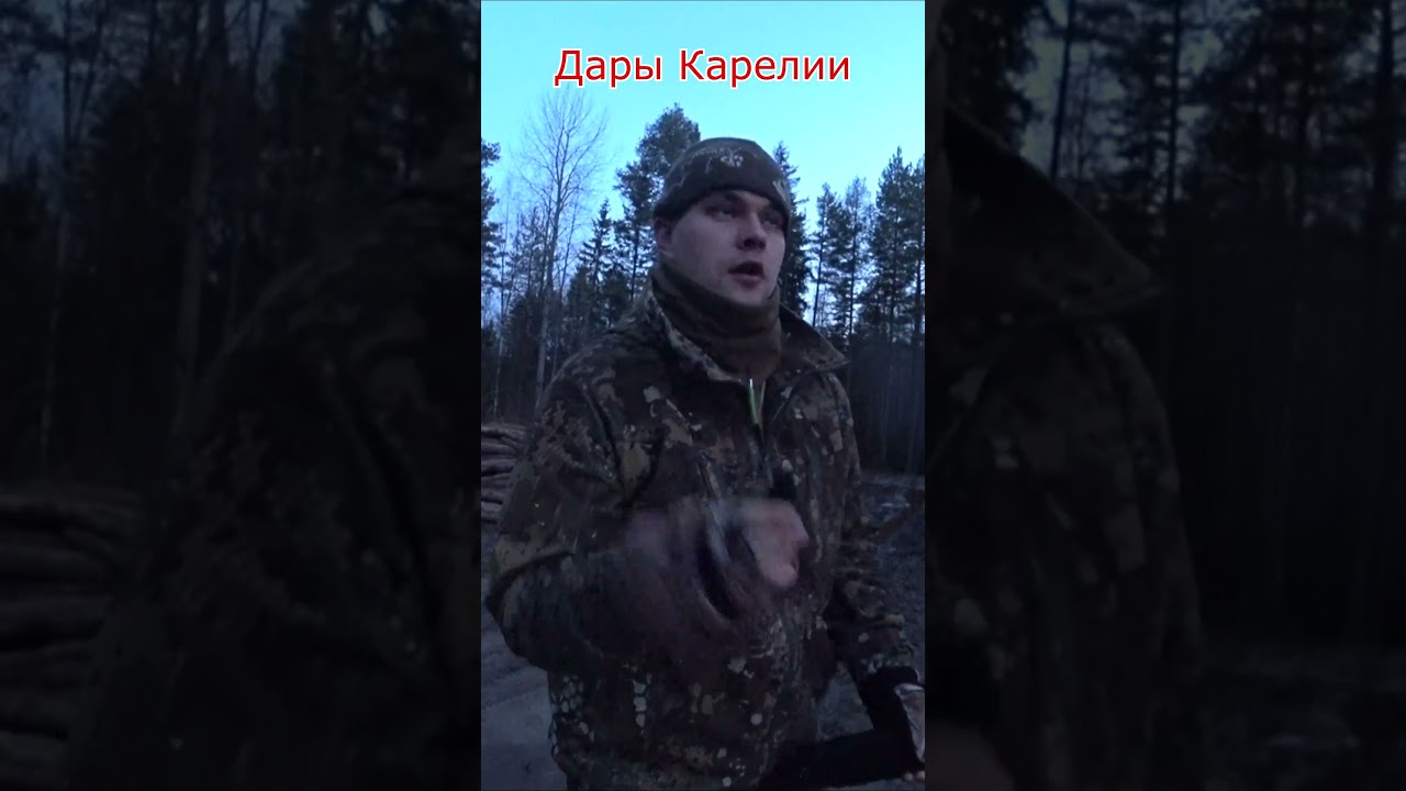 ТЯГА ВАЛЬДШНЕПА. ВЫПУСК №96. ЧАСТЬ 3.