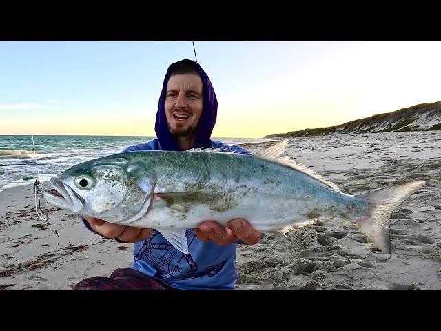 ugly stik gx2 4'6 GX2™ Spinning Youth Combo Tackle Pack Enjoy fishing anywhere you Color:GLOW Kast King Cetron Spinning