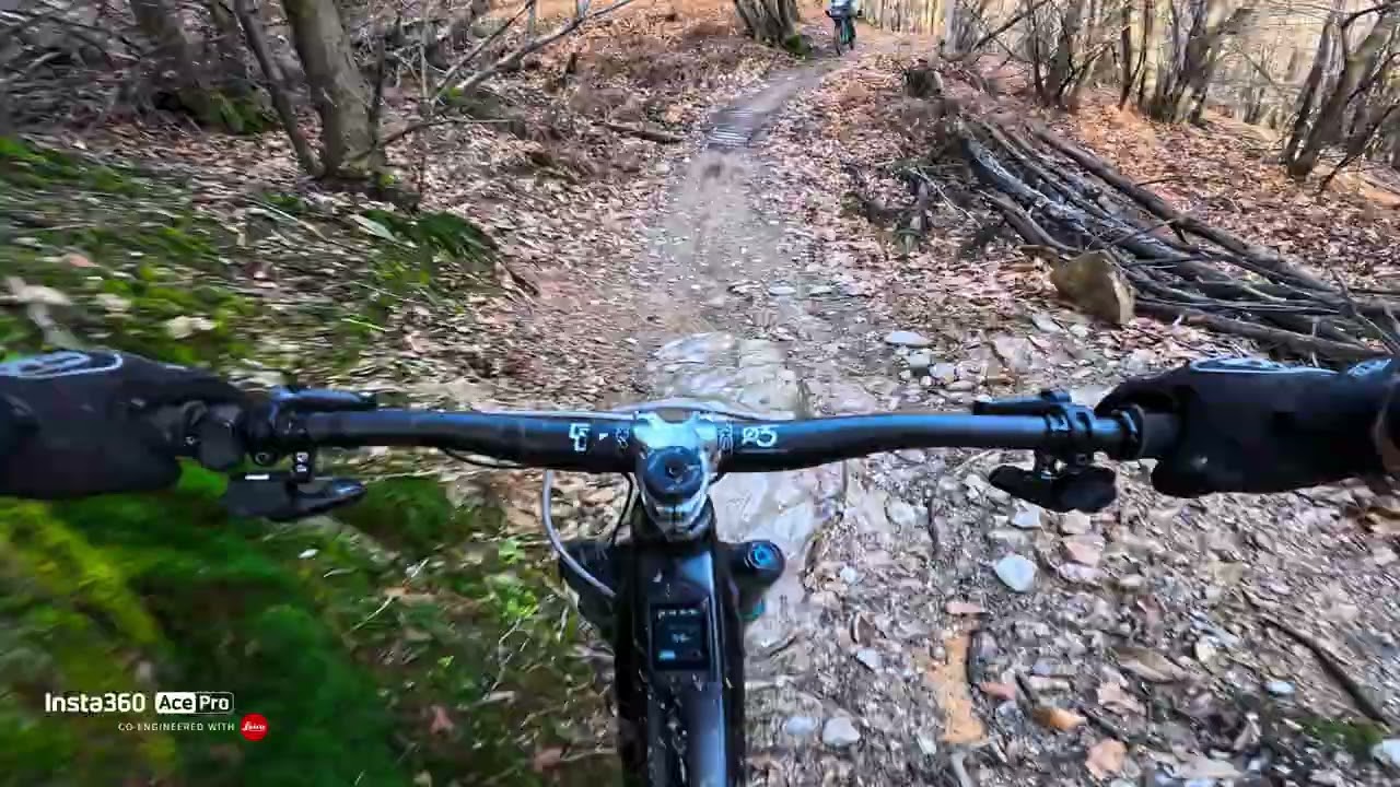 COLAZZA (LA RANA) ILTACCA IN AZIONE