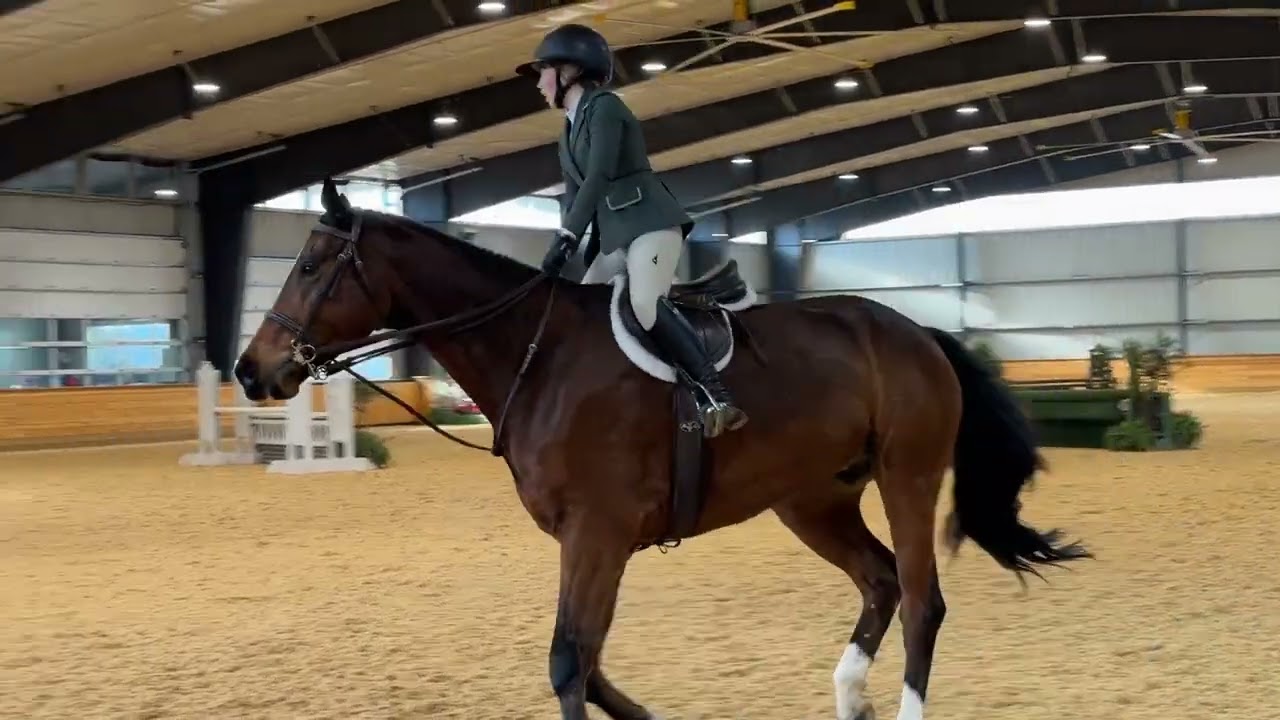 December Hunter Classic Younger 3'3 Junior Hunter Winning Round