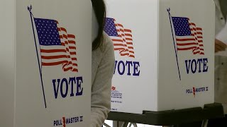 Vice president, lawmakers, activists call for voting rights action on MLK Day