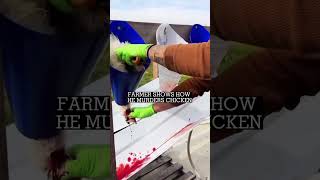 A nice way to dispatch birds