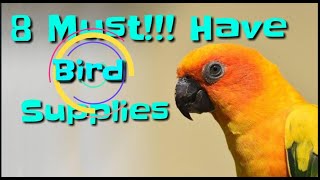 8 Must Have Bird Supplies