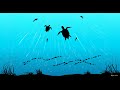 Turtles Drawing | How to Draw in Ms Paint | drawing in paint in computer | paint in computer |
