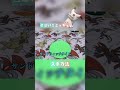 色違いポケモン入手方法どんどん出していきます。#ポケモンsv