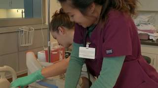 Download Lagu Bachelor Degrees at Bellevue College MP3