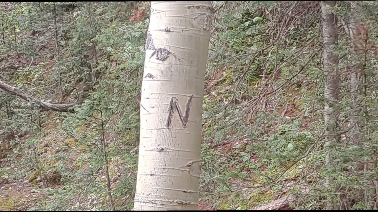 Forrest Fenn: First location: Reveal of 9 clues: TTOTC