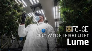 Lume Cannabis | 134.5 grams/sq ft | Cultivation Highlight