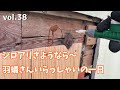 DIY『1円で買った家』 vol.38 右手だけポパイ x 防蟻剤を注入 x シロアリの逆襲 1 Cent House