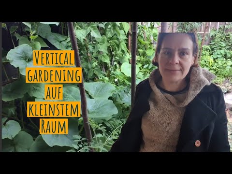 Video: Mehrjährige Schlingpflanzen als Option für vertikales Gärtnern