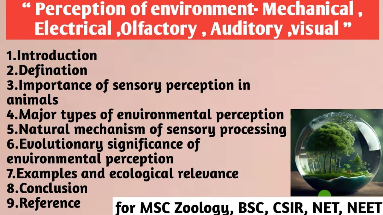 Perception of Environment | Mechanical | Electrical | Olfactory | Auditory | Visual | Importance 