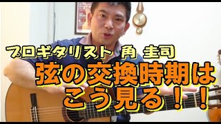 ギターの弦交換の時期について　～弦の交換時期をみる２つのポイント～