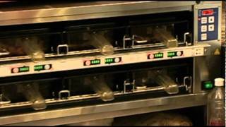 PITA PLUS.wmv