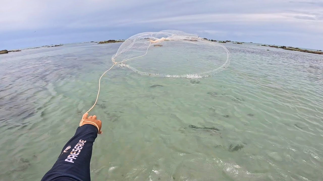 MUITOS CARDUMES  DE PEIXE NA TARRAFA, ÁGUA CLARA E DIA NUBLADO ( DIEGO PESCADOR AMADOR)