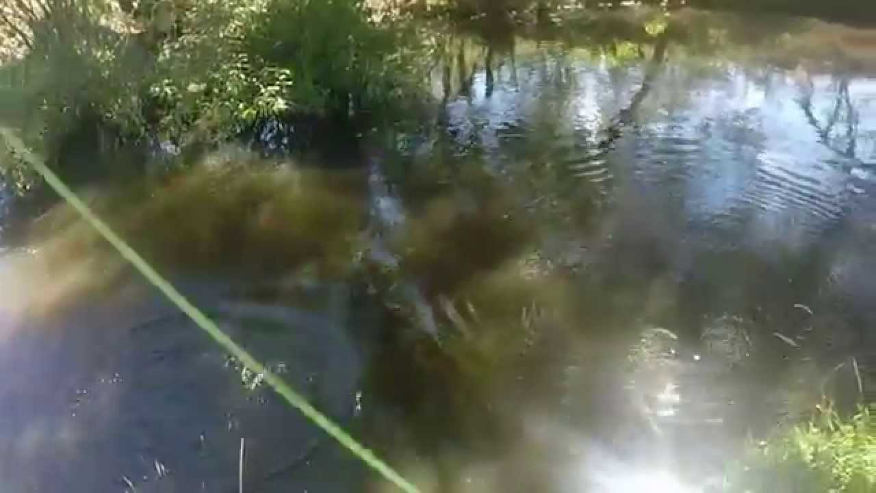 Rubicon river January 2015 YouTube