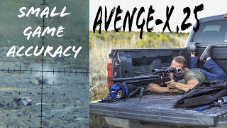 Is the Avenge-X A VARMINT HUNTER? 100-150 Yard Small Game Accuracy Test