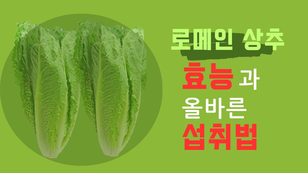 로메인 상추 효능과 올바른 섭취법 - YouTube