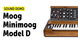 Moog MiniMoog Model D Reissue Jam (no talking)