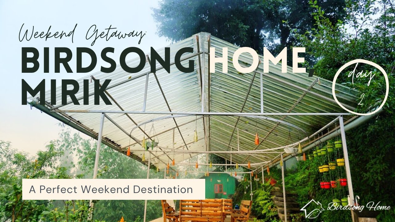 Trip to Mirik | Birdsong Home | Day 2 | Weekend Getaway | Food | Stay | Review
