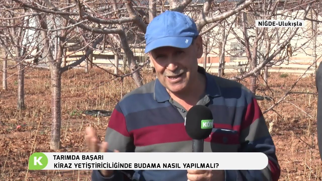 TARIMDA BAŞARI | KİRAZ YETİŞTİRİCİLİĞİ BİTKİ BESLEME ÜRÜNLERİ KULLANIMI