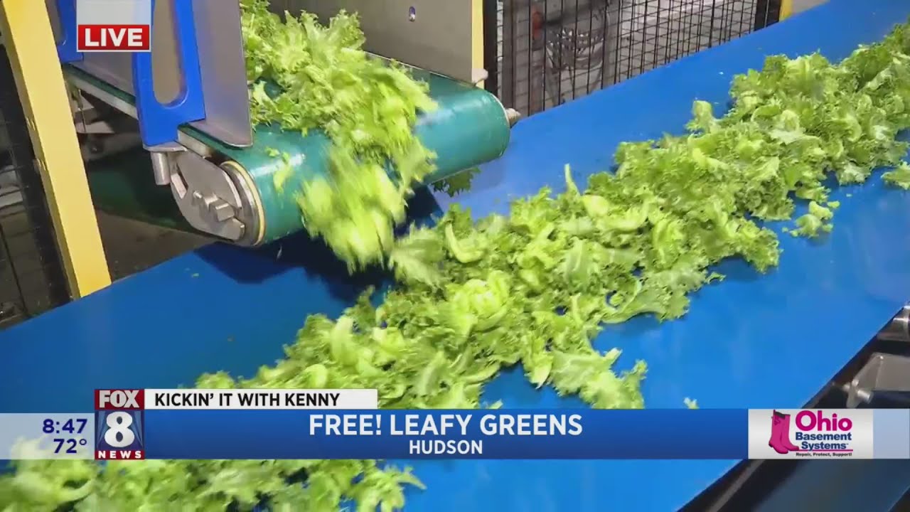 Kenny's surrounded by salad at Free! Leafy Greens