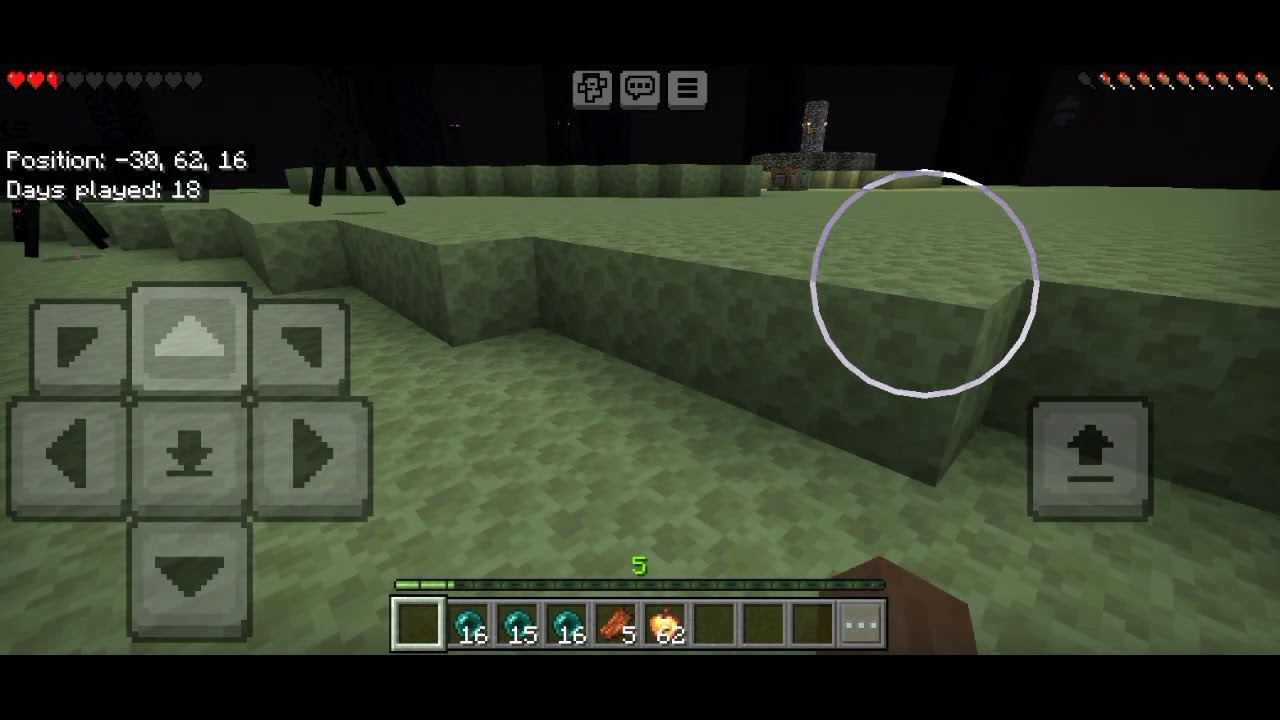 Oh no Chasing the Enderman Full Video