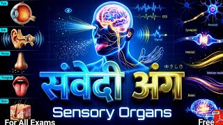 संवेदी अंग | Sensory Organs |Eye, Ear, Nose, Tongue, Skin आसान भाषा में |Functions of sensory organs