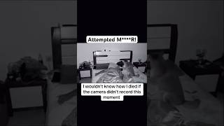 Dog Caught Try To Unalive Its Owner