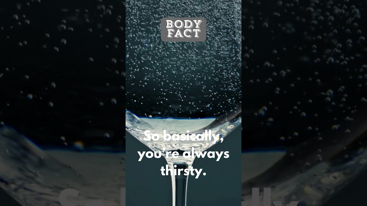 Incredible Body Truths. Understand your body better! 